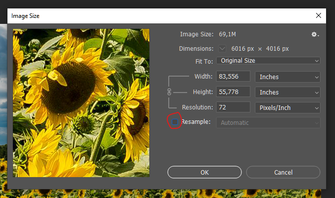 How to Change DPI in Photoshop?