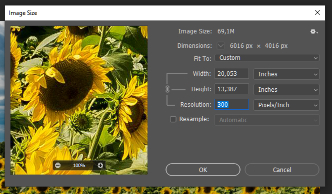 insert image resolution