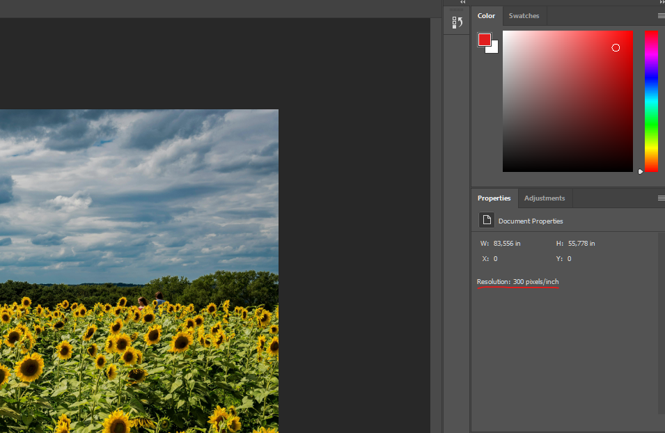 How to Change DPI in Photoshop?