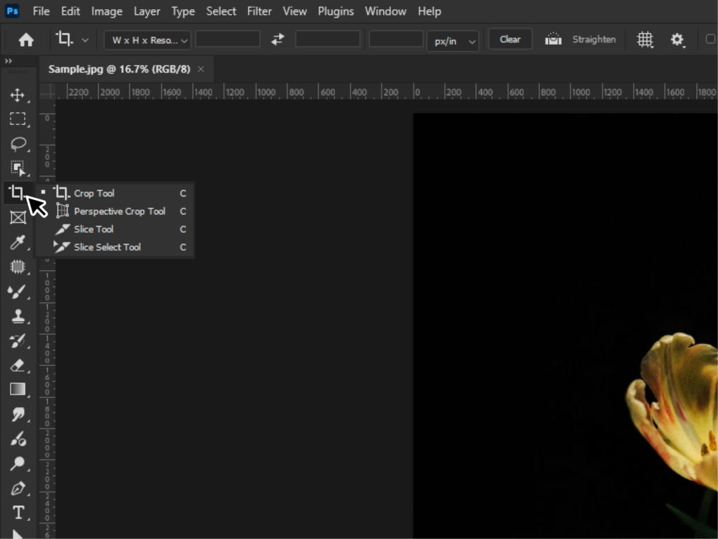 Basic Photo Editing - Cropping