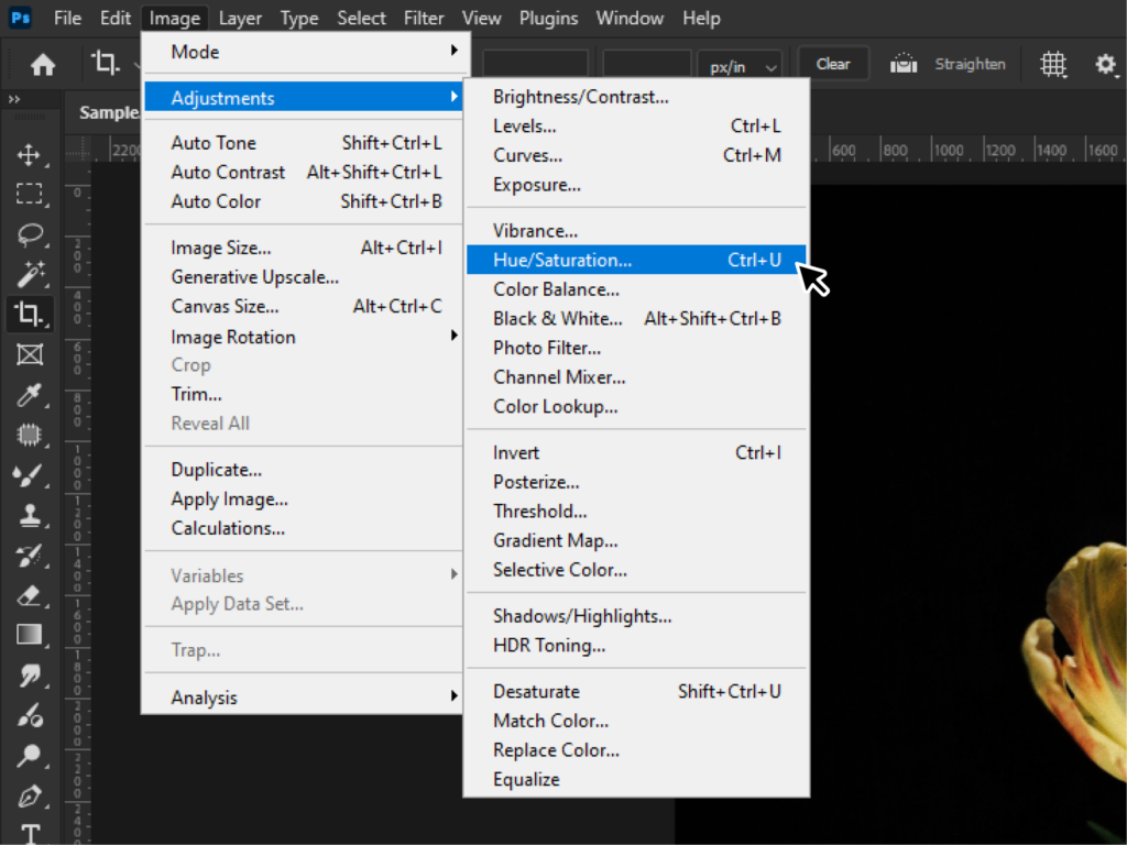 Basic Photo Editing - Color Correction