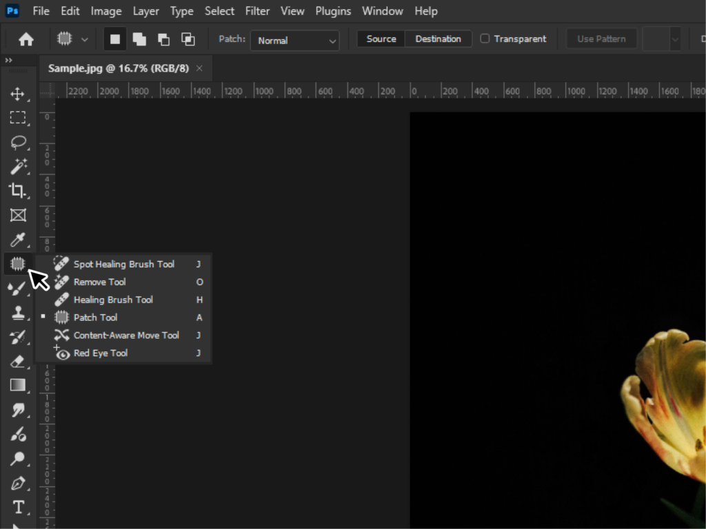Basic Photo Editing - Retouching