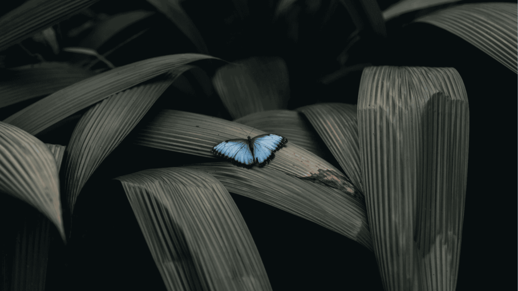 How To Feather Edges In Photoshop