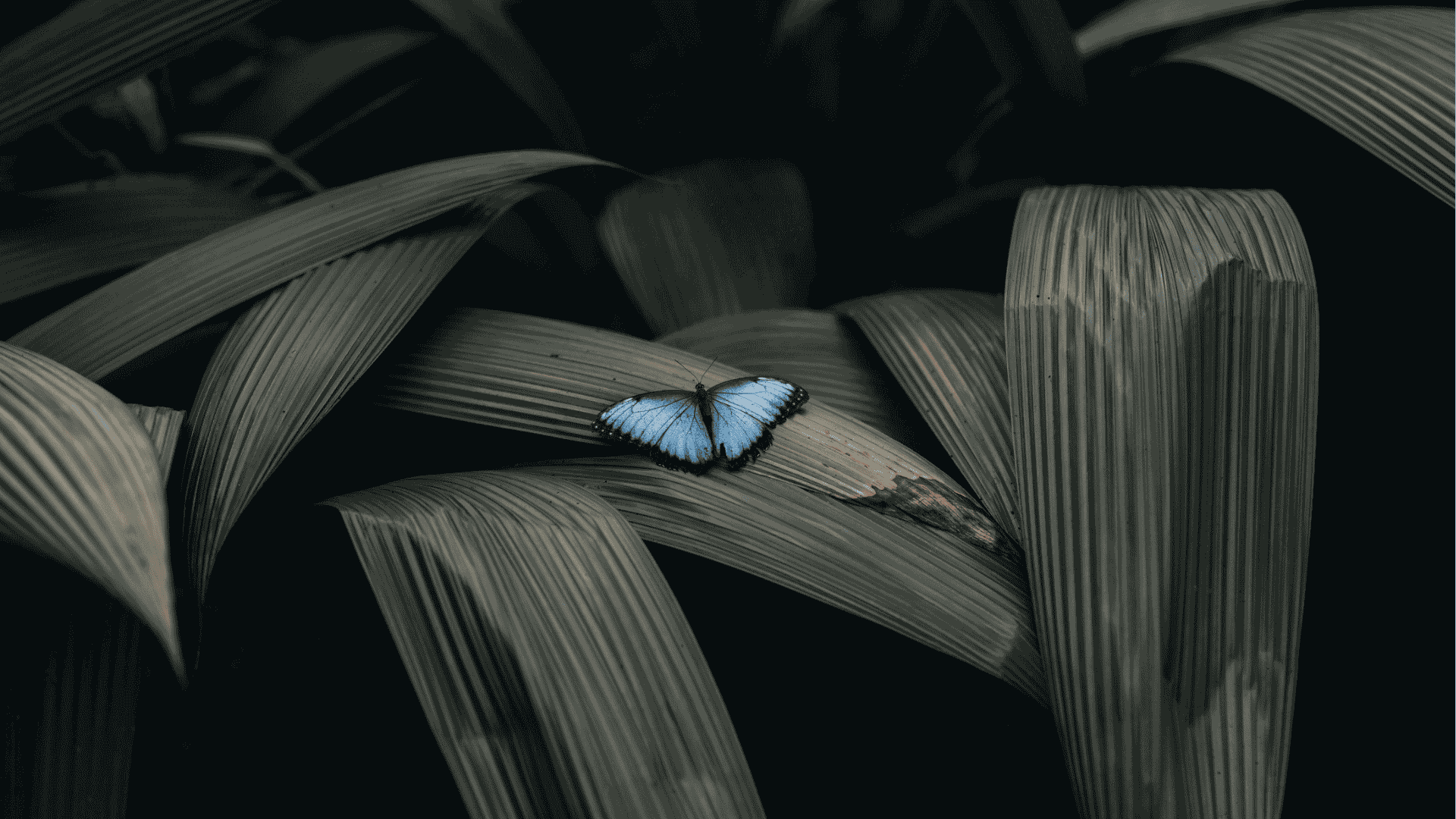 How To Feather Edges In Photoshop