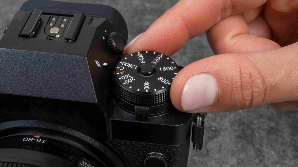 Macro Photography Techniques
