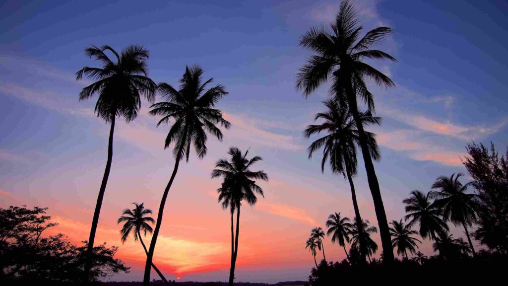 5 Sunset Photography Tips for Beginners